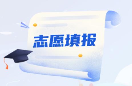 八桂高考软件下载