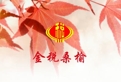 金税桑榆app官方下载官方下载