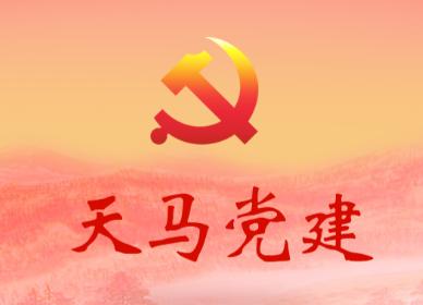 天马党建app下载安装最新版