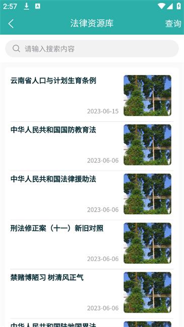 平安版纳公众版app