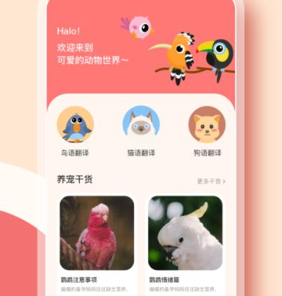 鹦鹉翻译器app
