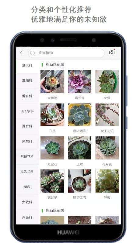 拍照识花软件 2.1.20安卓版