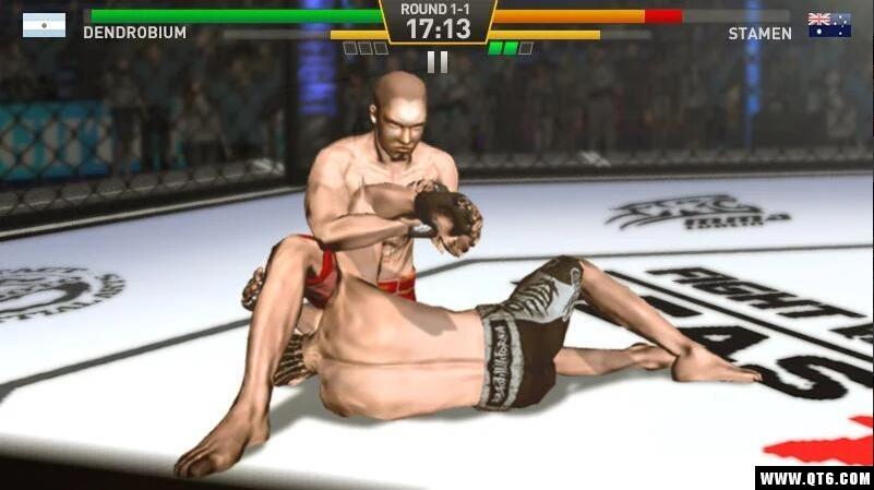 Fighting Star(格斗明星) 1.0.0安卓版