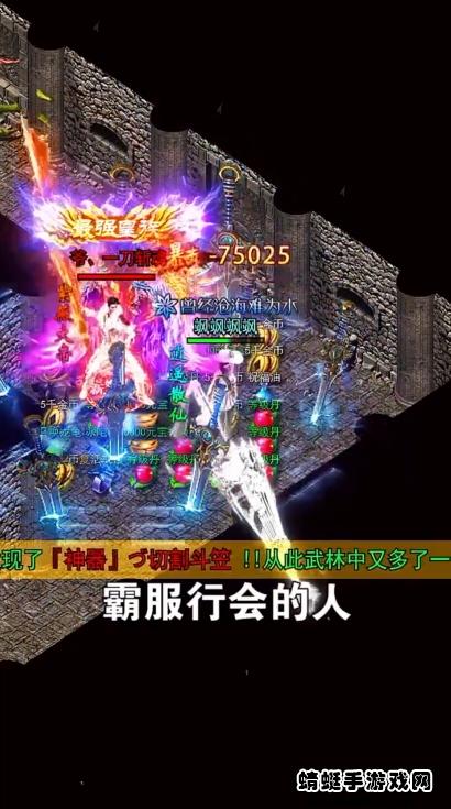 传奇满V版游戏 1.0安卓版截图2