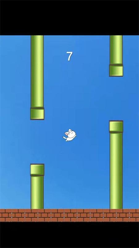 机智猫咪手游 1.0.0安卓版截图1