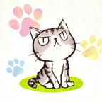 Nora(流浪的猫咪) 1.0.14官方版