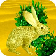 水晶沙漠最新版 1.0.0.5安卓版