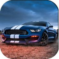 野马驾驶停车破解版 0.1免广告版