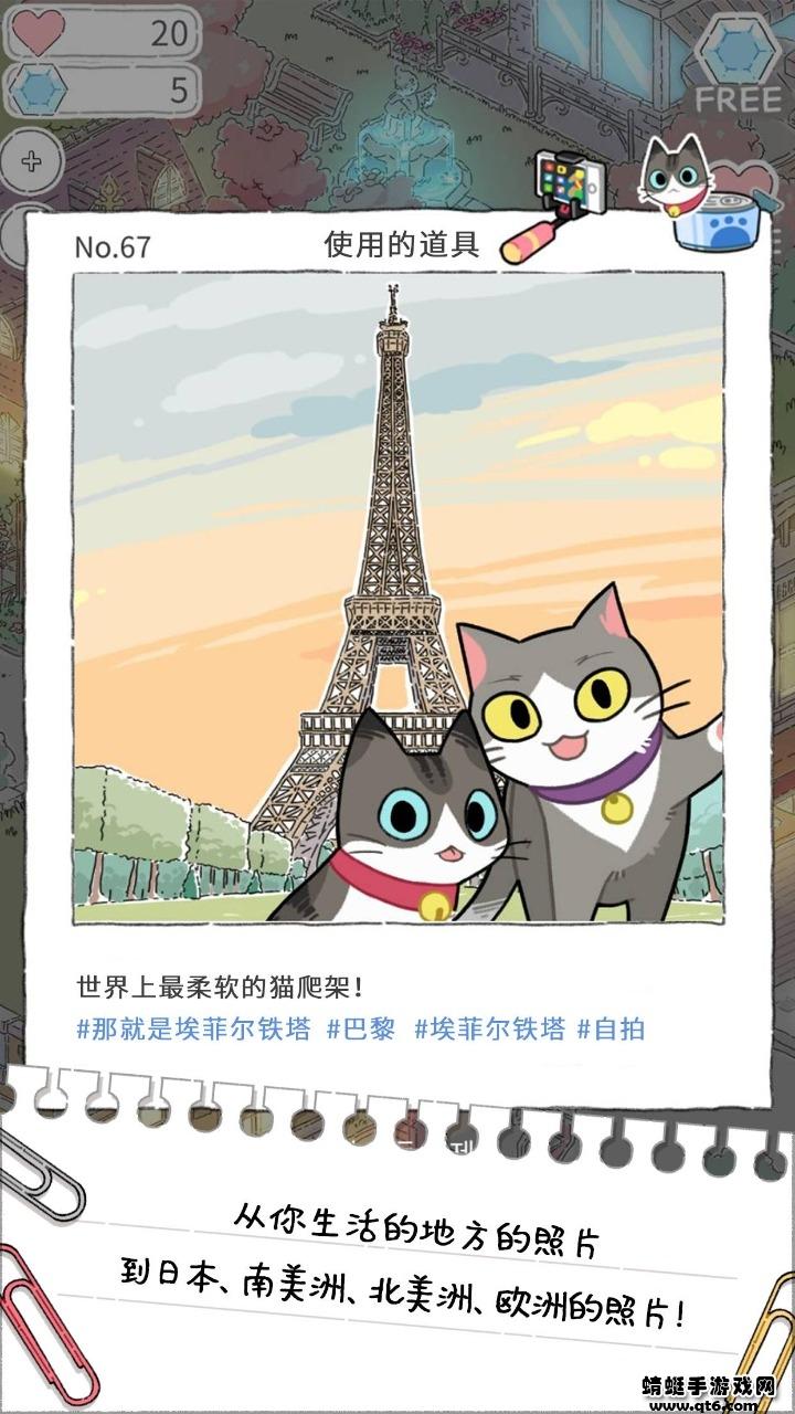 猫友圈破解版免广告版 1.8.3最新版截图1