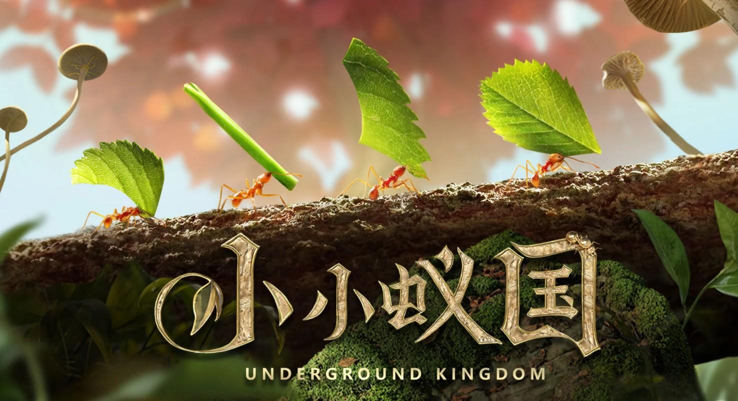 小小蚁国最新版中文版 1.90.0安卓版