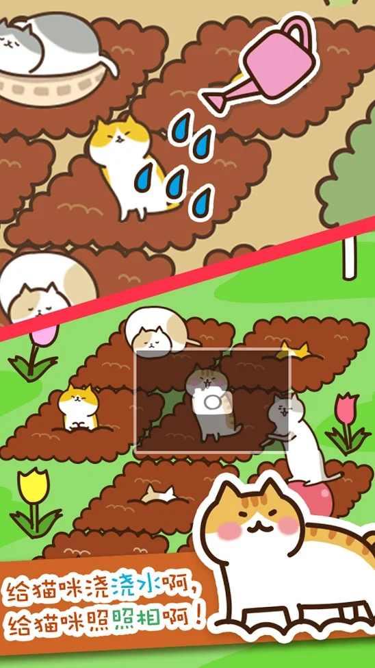 猫咪田园破解版无限银鱼 2.5.1最新版