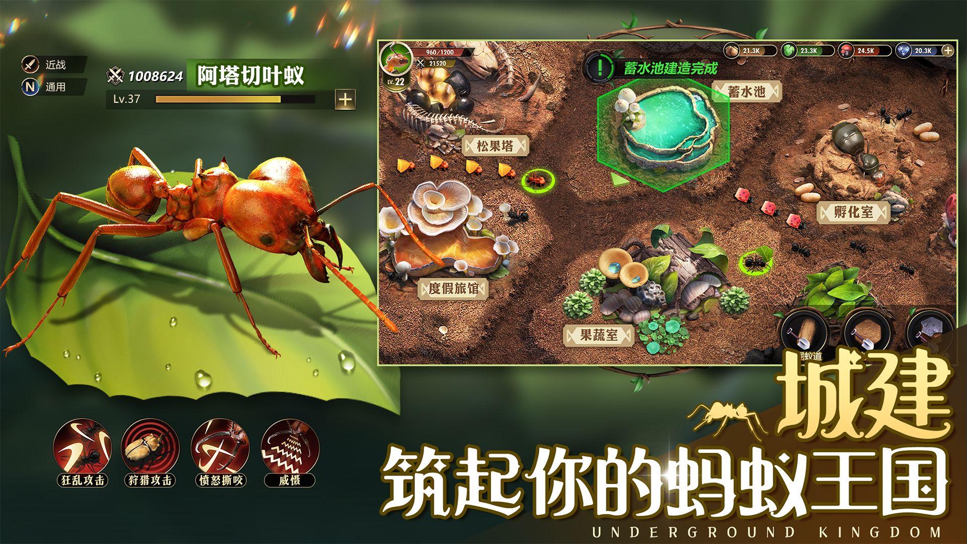小小蚁国小小蚁世界 1.31.3安卓版