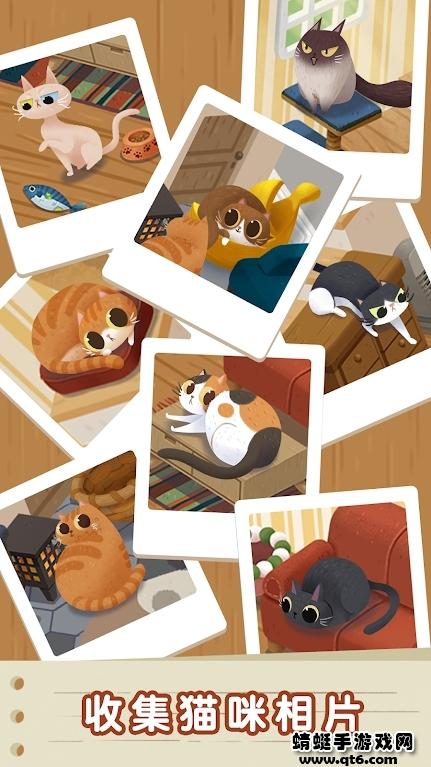 猫猫慵懒的日常去广告版 1.0安卓版截图2