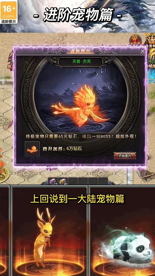 顺玩骑士传奇手游 1.2.0安卓版