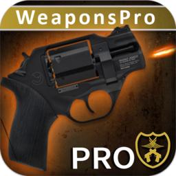 终极武器模拟器Pro完整版 1.1.5安卓版
