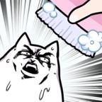 朕不想洗澡破解版免广告版 0.1中文版