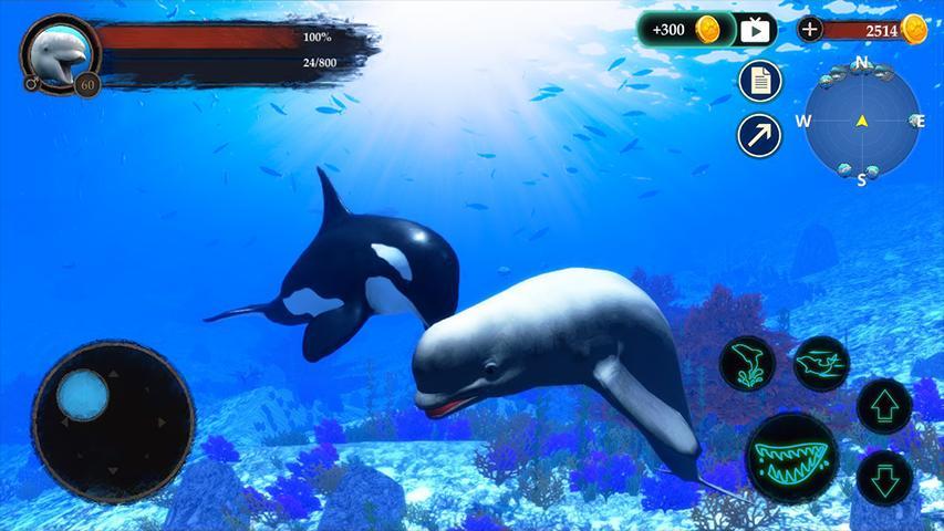 The Beluga Whale白鲸模拟手机版 1.0.1安卓版截图0