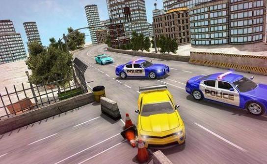 US Police Transport Simulator(US警车运输卡车2020官方版) 1.0.9安卓版截图0