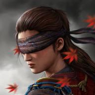 暗影猎手传奇无限金币破解版 1.4.5免广告