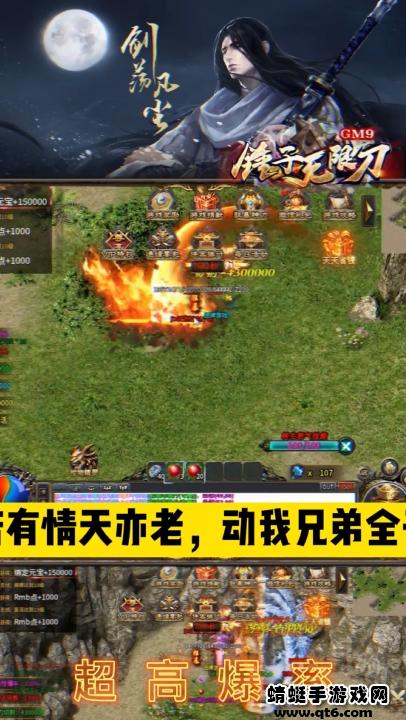 锤子无限刀GM9 1.1.0安卓版截图3