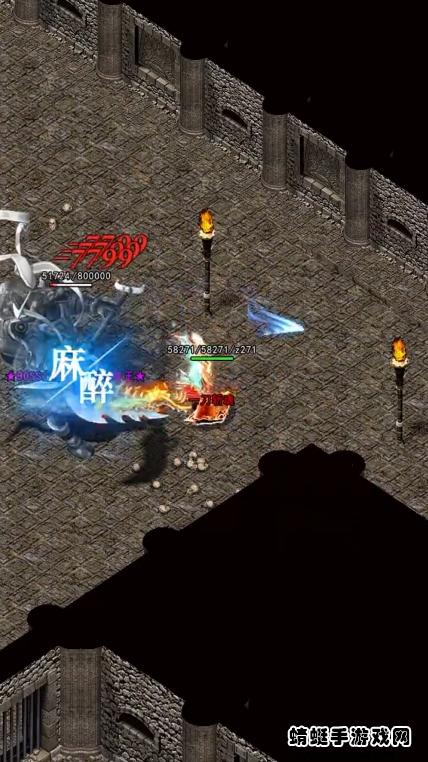 逐日传奇之怒游戏 2.1.0安卓版截图1