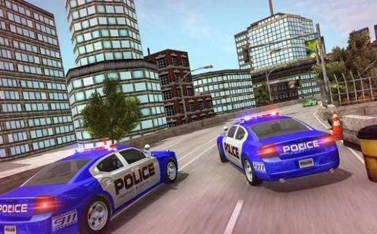 US Police Transport Simulator(US警车运输卡车2020官方版) 1.0.9安卓版截图1