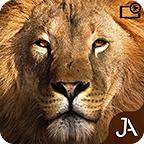 多人游猎破解版 21.5.2中文版