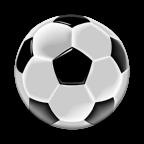 Natural Soccer(自然足球) 1.4.7