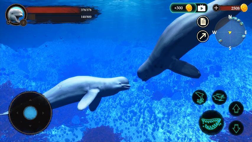 The Beluga Whale白鲸模拟手机版 1.0.1安卓版截图2
