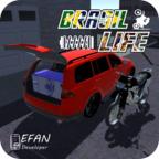 BRASIL LIFE(巴西生活（无条件购买且货币强加）) 4.3.5破解版