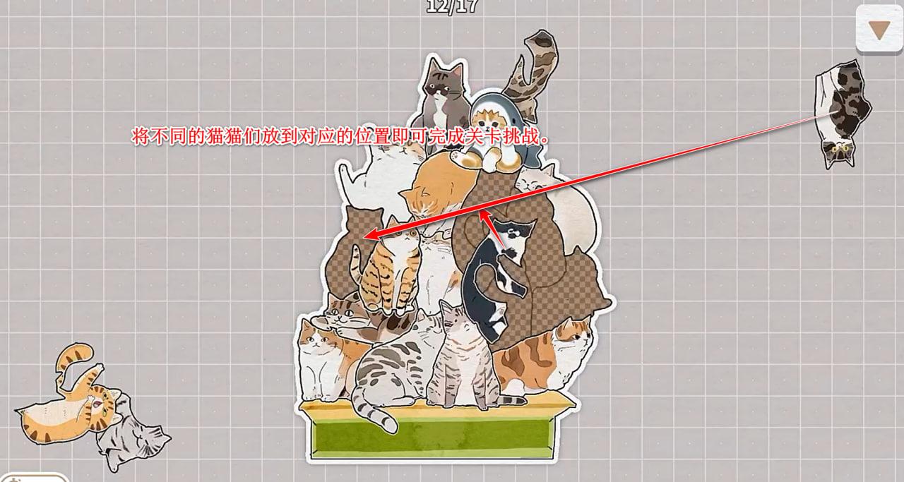 挤在一起的猫猫 1.8安卓版