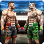 Real Shoot Boxing 2021(真实拳击赛2020破解版) 1.0.3安卓版