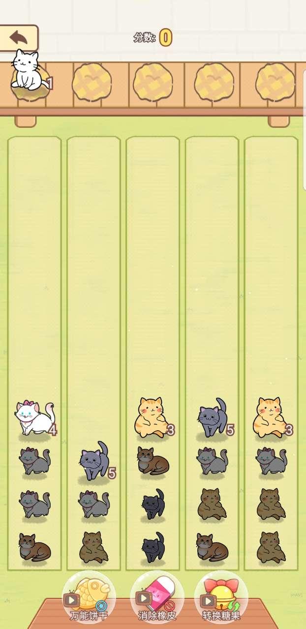 解压猫咪破解版 1.0.0安卓版