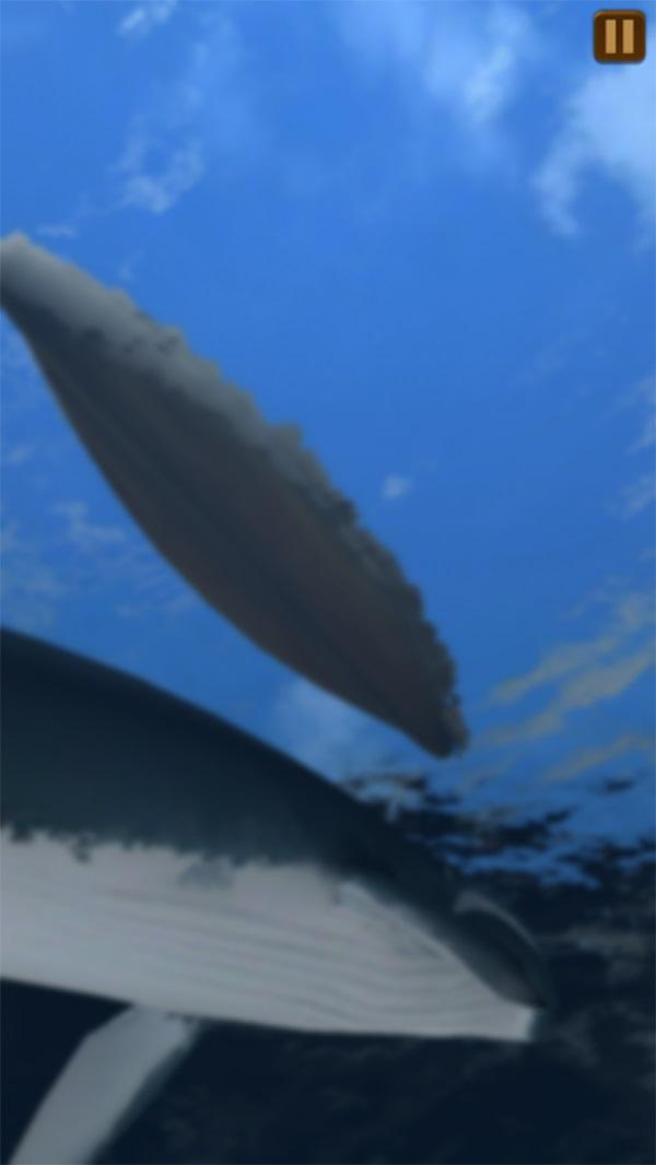 捕鲸模拟破解版 1.0.0中文破解版