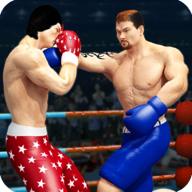 Tag Boxing(跆拳道拳击无限金币版) 2.6破解版