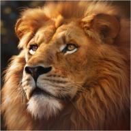 野兽领主新世界台服安卓版1.0.53 安卓版