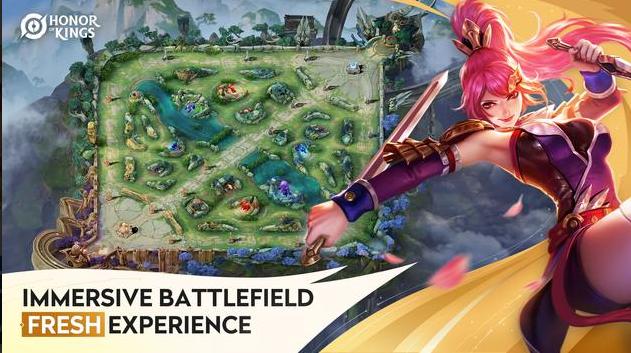 王者荣耀国际服正式版(Honor of Kings)10.3.1.5 安卓手机版截图2