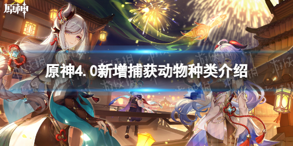 《原神》4.0新增捕获动物种类介绍