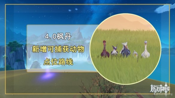 原神4.0新增捕获动物种类有哪些原神4.0新增捕获动物种类介绍_