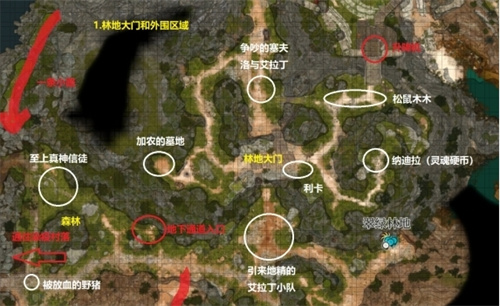 《博德之门3》翠绿林地收集怎么完成-翠绿林地地图收集攻略