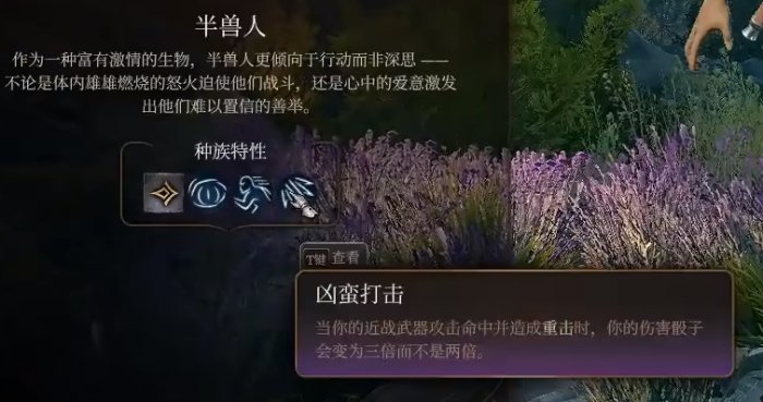 《博德之门3》野蛮人选什么种族 野蛮人种族推荐