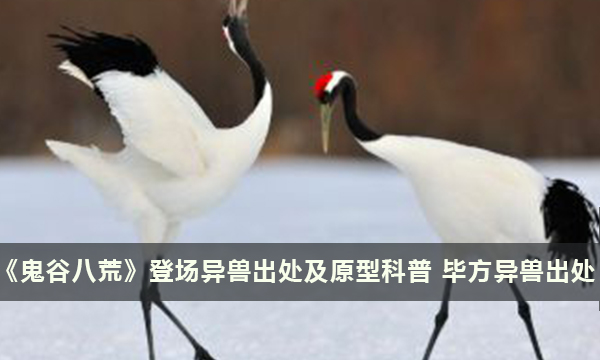 《鬼谷八荒》登场异兽出处及原型科普 毕方异兽出处