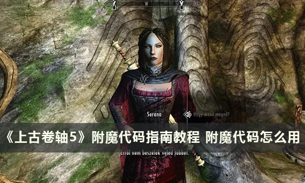 《上古卷轴5》附魔代码指南教程 附魔代码怎么用