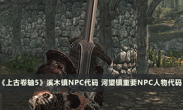 《上古卷轴5》溪木镇NPC代码 河望镇重要NPC人物代码