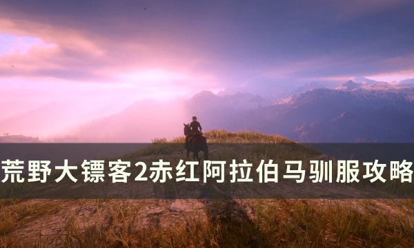 《荒野大镖客2》赤红阿拉伯马怎么驯服 赤红阿拉伯马驯服攻略
