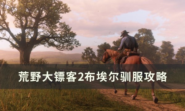 《荒野大镖客2》布埃尔怎么驯服 布埃尔驯服攻略