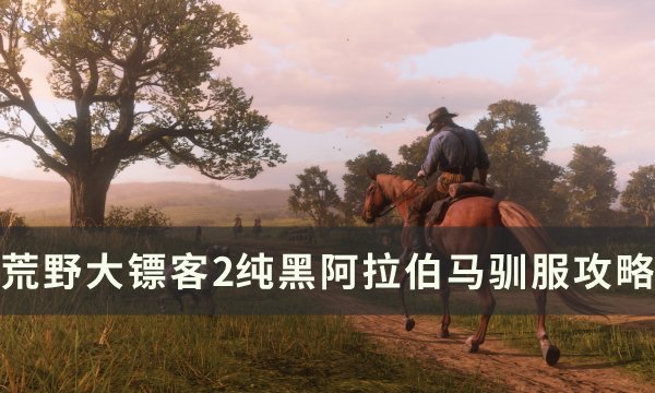 《荒野大镖客2》纯黑阿拉伯马在哪里抓 纯黑阿拉伯马驯服攻略