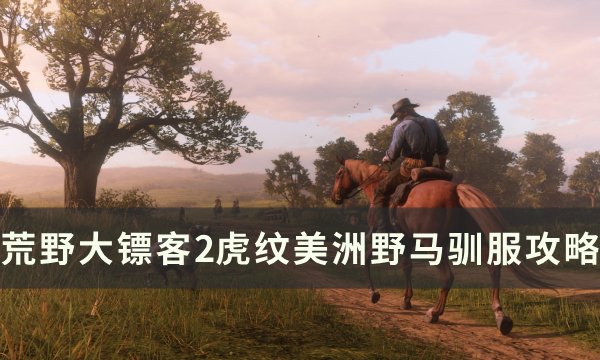 《荒野大镖客2》虎纹美洲野马怎么驯服 虎纹美洲野马驯服攻略