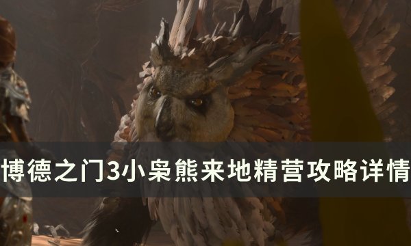 《博德之门3》小枭熊没来地精营地怎么办 小枭熊来地精营攻略详情