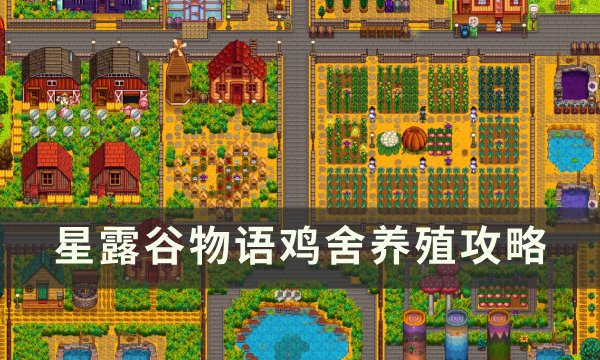 《星露谷物语》鸡舍养什么最赚钱 鸡舍养殖攻略
